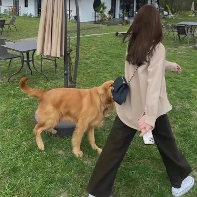 飞来福